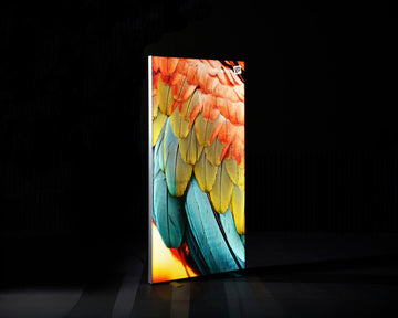 whitebox-lite-1000-2000-on