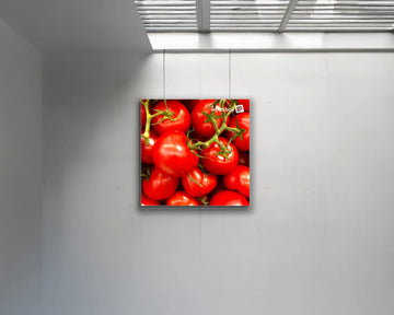 Suspended Whitebox® 50cm x 50cm