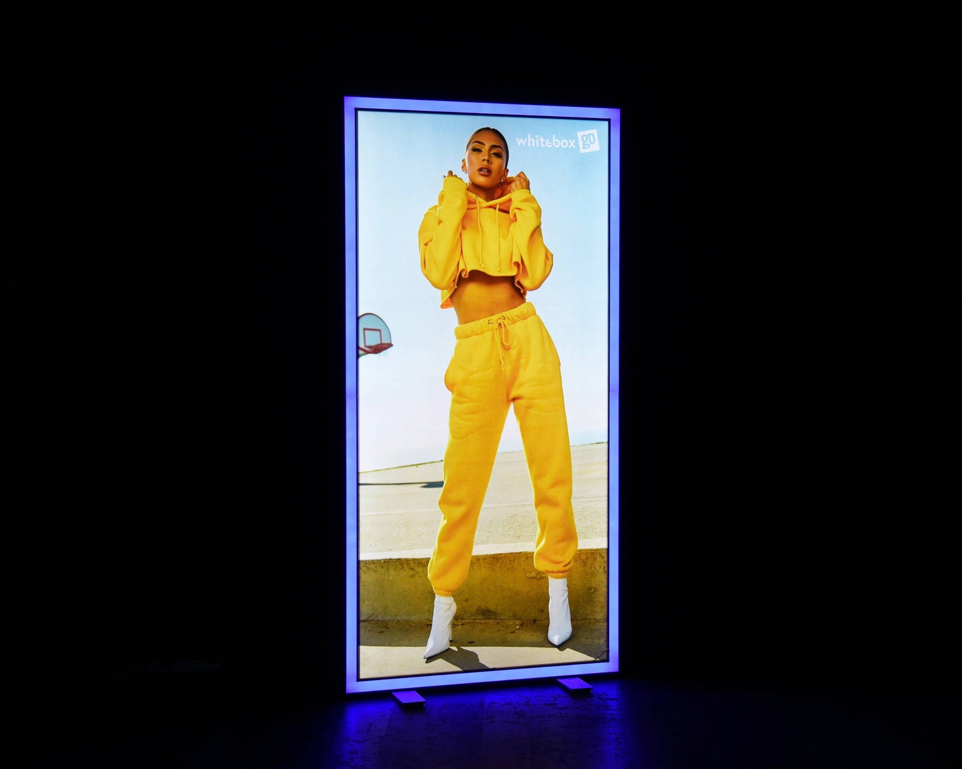 whitebox-switch-1000-2000-front-blue