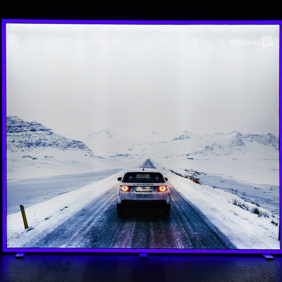 whitebox-switch-3000-2500-front-blue