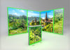 4x3m Whitebox® Switch Package 3