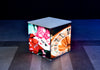 Whitebox® Cube | 50cm x 50cm